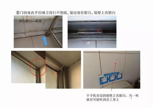食品企業工廠監查結果